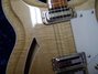 Rickenbacker 381/6 V69, Mapleglo: Close up - Free