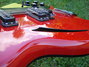 Rickenbacker 360/12 BH BT, Red: Free image