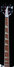 Rickenbacker 4001/4 Mod, Custom: Neck - Front