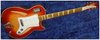 Rickenbacker Concealed Pickup/6 One Off, Fireglo: Free image