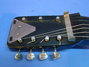 Rickenbacker BD/7 LapSteel, Black: Close up - Free2