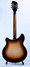 Rickenbacker 360/12 , MonteBrown: Full Instrument - Rear