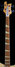 Rickenbacker 4001/4 , Mapleglo: Neck - Front