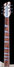 Rickenbacker 360/6 , Mapleglo: Neck - Front