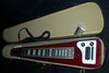 Rickenbacker 100/6 LapSteel, Red: Full Instrument - Front