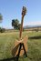 Rickenbacker 360/6 , Mapleglo: Full Instrument - Rear