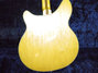 Rickenbacker 365/6 , Mapleglo: Full Instrument - Rear