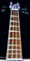 Rickenbacker 4001/4 , Jetglo: Neck - Front