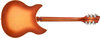 Rickenbacker 360/12 WB, Fireglo: Full Instrument - Rear