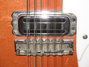 Rickenbacker 330/12 , Fireglo: Close up - Free