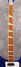 Rickenbacker 4001/4 , Azureglo: Neck - Front