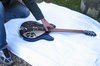 Rickenbacker 330/6 VP, Midnightblue: Free image