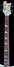 Rickenbacker 4003/4 , Mapleglo: Neck - Front