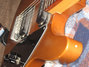 Rickenbacker 430/6 , Brown: Close up - Free