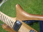 Rickenbacker 650/6 Sierra, Natural: Free image