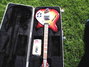 Rickenbacker 360/12 , Fireglo: Free image