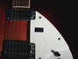 Rickenbacker 360/12 , Fireglo: Close up - Free2