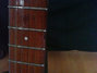 Rickenbacker 330/6 , Burgundy: Close up - Free2