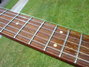 Rickenbacker 450/6 , Fireglo: Neck - Front