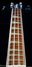 Rickenbacker 4001/4 , Jetglo: Neck - Front