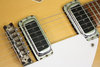 Rickenbacker 360/6 Slant Fret, Mapleglo: Free image