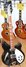 Rickenbacker 360/6 , Jetglo: Full Instrument - Front