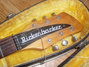 Rickenbacker 430/6 , Jetglo: Headstock