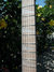 Rickenbacker 481/12 RIC Outlet One Off, Walnut: Neck - Front