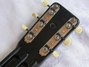 Rickenbacker B Post War/6 LapSteel, Black: Headstock - Rear