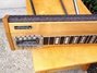 Rickenbacker Jerry Byrd/10 Console Steel, Mapleglo: Neck - Front