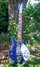 Rickenbacker 620/6 , Midnightblue: Full Instrument - Front