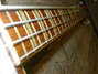 Rickenbacker 4001/4 , Autumnglo: Neck - Front