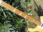 Rickenbacker 4001/4 , Mapleglo: Neck - Front