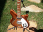 Rickenbacker 360/12 , Walnut: Close up - Free2