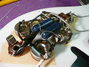 Rickenbacker 450/12 , Mapleglo: Free image2