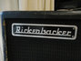 Rickenbacker M-30/amp Ek-O-Sound, Gray: Body - Front