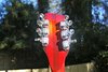 Rickenbacker 360/12 V64, Fireglo: Headstock - Rear