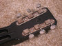 Rickenbacker BD/6 LapSteel, Black: Headstock - Rear