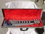 Rickenbacker 100/6 LapSteel, Gray: Close up - Free2