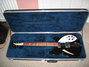 Rickenbacker 360/6 , Jetglo: Close up - Free