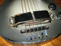 Rickenbacker 59/6 LapSteel, Gray Sunburst: Body - Front