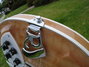 Rickenbacker 381/12 V69, Mapleglo: Free image2