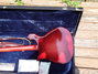 Rickenbacker 420/6 , Fireglo: Full Instrument - Rear