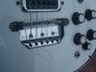 Rickenbacker 460/6 , Jetglo: Close up - Free