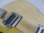 Rickenbacker 660/6 , Mapleglo: Full Instrument - Rear