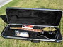 Rickenbacker 660/6 , Jetglo: Full Instrument - Front