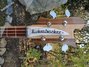 Rickenbacker 4003/4 , Mapleglo: Headstock