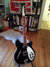 Rickenbacker 360/12 , Jetglo: Full Instrument - Front