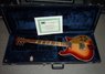 Rickenbacker 660/12 TP, Fireglo: Full Instrument - Front