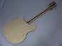 Rickenbacker 370/12 , Mapleglo: Full Instrument - Rear